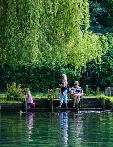 about chelmsford garden village